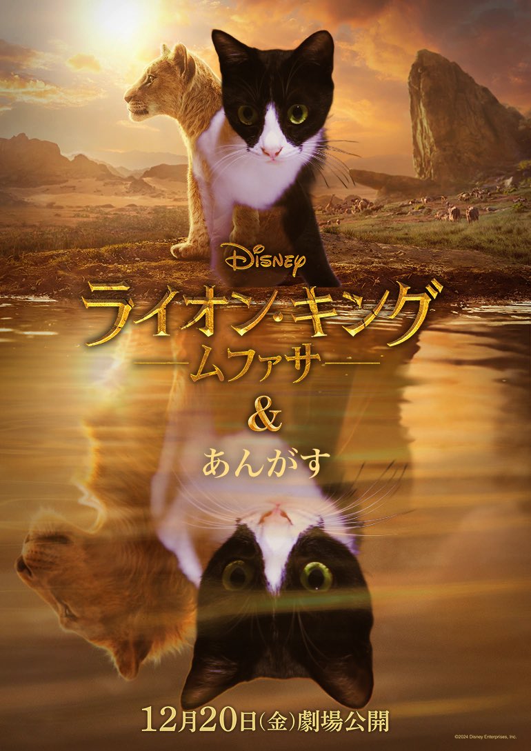 sshotaros's tweet photo. この度、わたしの相棒「きーす」が“ライオン・キング”になりました！！！

ムファ写カメラで、
愛する相棒を“ライオン・キング”にしちゃいませんか！

『ライオン・キング：ムファサ』12/20（金）劇場公開
#ムファ写キャンペーン
https://t.co/Qa457d6pDK https://t.co/kha6rJ4wIa