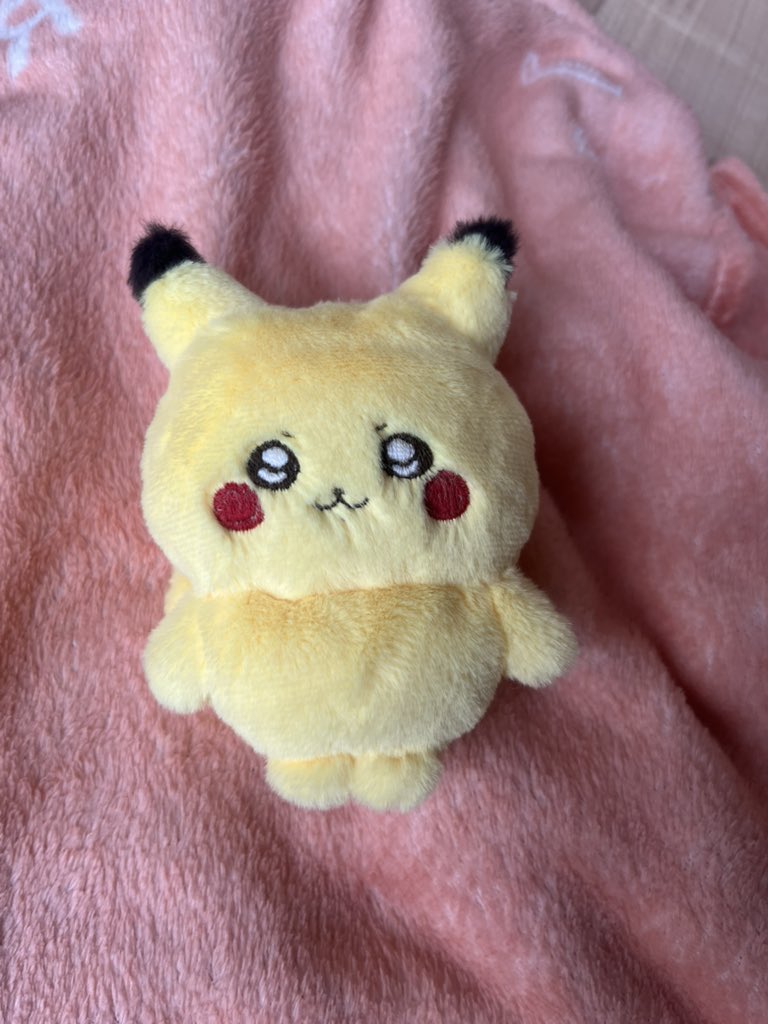 ポン(ちぇるしー) (@ige_pon) / Posts / X