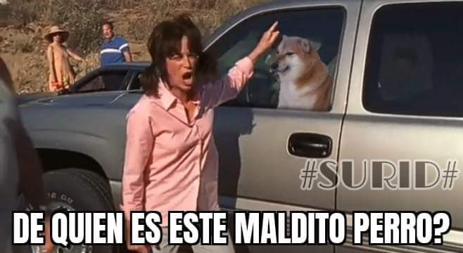 trollslendex's tweet photo. @RodrigoMiro76 similar al episodio de malcom donde lois se queja por todo y al final ve a un perro encerrado en un auto (termina rompiendo el vidrio del auto para que salga)

nos hizo falta una lois aqui. https://t.co/uK2QDRAmH9