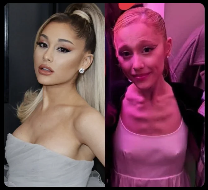 Wall Street Mav tweet media