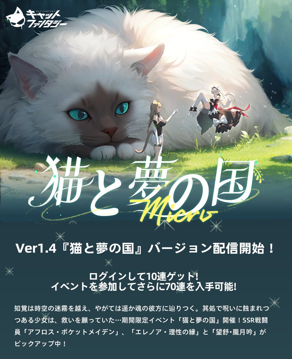 CatFantasyJP tweet picture