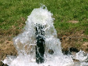 ReliableWaterB's tweet photo. Water Smarter, Not Harder!
Keep your garden, farm, or landscape thriving with H20 Crystal Drop’s next-level irrigation systems.

Save Water. Save Money.
Custom setups for homes &amp; farms
Free Water Check – we’ve got you covered!

📞 067 890 9152 | https://t.co/CyLEddyZxo https://t.co/zstNl8cqwd