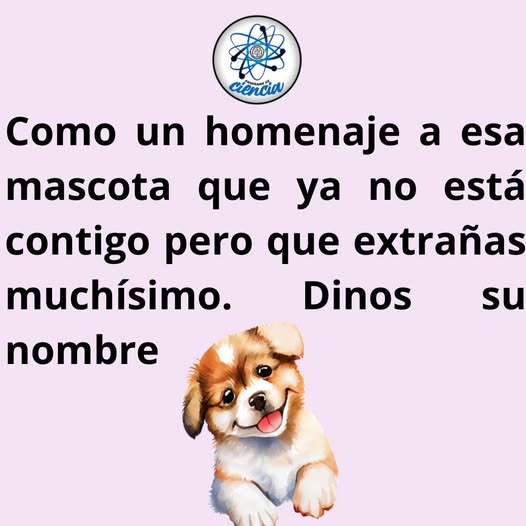 Enséñame de Ciencia tweet media