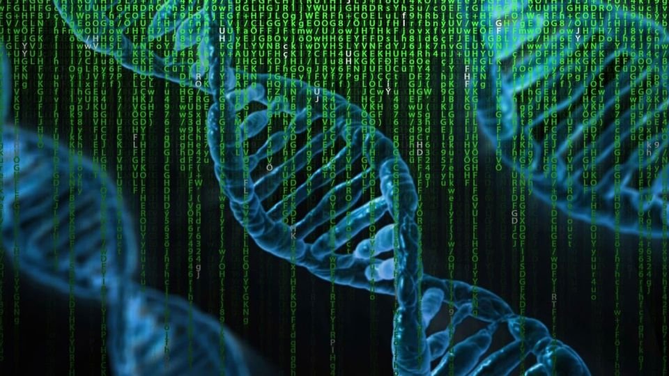 DNAAI_CTO's tweet photo. Evolving the blockchain, one meme at a time π§¬π₯ Join the $DNAI revolution! ππ
#DNAI #DNA #AI #ELONMUSK #DESCI https://t.co/PFZ3S7X7LO