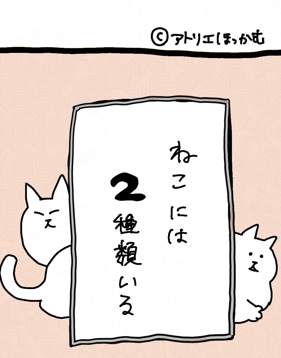 今夜20時に漫画をあげます🐱
「ねこには2種類いる」
#猫漫画
最近、お食事中の方ごめんなさいが続いてしまったので
今日のは問題なく読めるやつです!