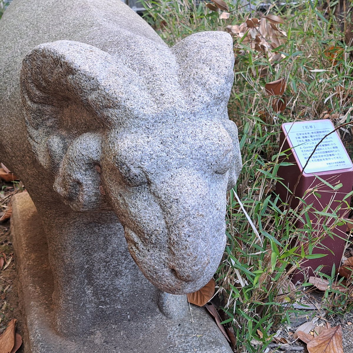 このアカウントで使っているハッシュタグ #WUL、何の略かご存じですか？😊 正解は Waseda University  Libraryの頭文字です！発音は「ウール」。羊毛みたいでかわいいですね🐑✨ 羊と言えば、2号館・高田早苗記念研究図書館前には「石羊」があります。 図書館所蔵資料です ...