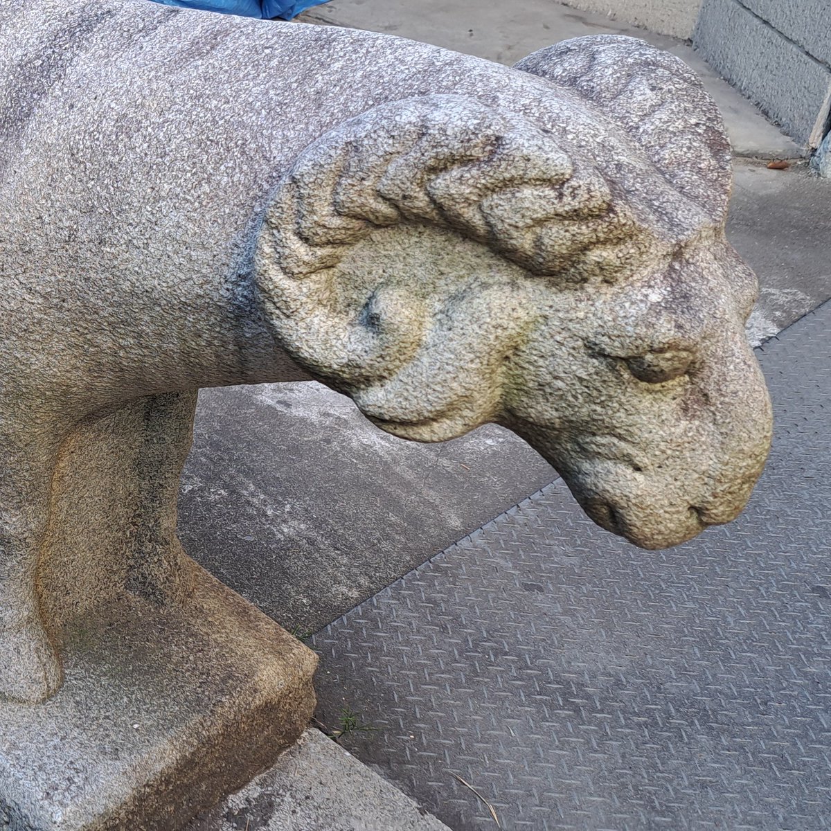 このアカウントで使っているハッシュタグ #WUL、何の略かご存じですか？😊 正解は Waseda University  Libraryの頭文字です！発音は「ウール」。羊毛みたいでかわいいですね🐑✨ 羊と言えば、2号館・高田早苗記念研究図書館前には「石羊」があります。 図書館所蔵資料です ...