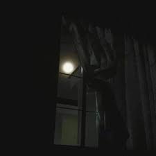 اللهم في هذا الفجر افتح لدعواتنا أبواب 
السماء وقُل لما تتمناه قلوبنا كُن فيكون 🌙✨️
