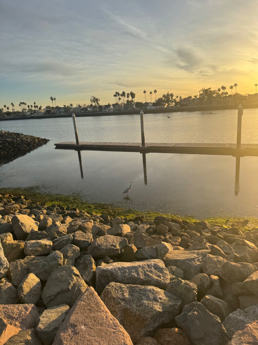nblaw's tweet photo. Golden State. https://t.co/tkUWXmEy9f