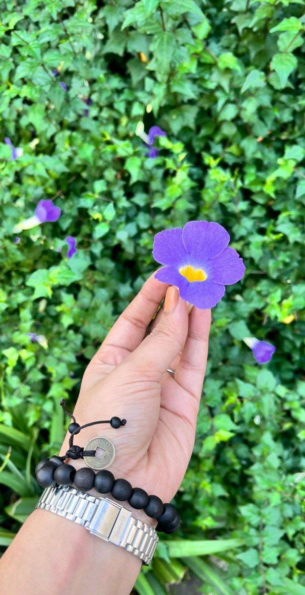 December is blooming ✨❄️
