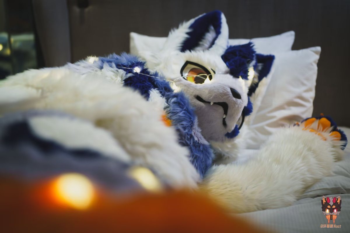 AdminBurst's tweet photo. #FursuitFriday #FursuitEveryday
嗯？你到我脚那干啥，快上来
拍摄：@夜猫子Noct https://t.co/LNdNZhwSLR