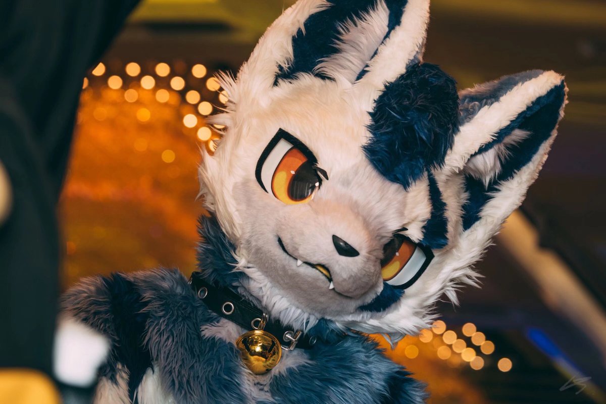 AdminBurst's tweet photo. #FursuitEveryday
平时看起来很严肃的朔望其实只要换个角度.jpg
拍摄：@澄笙⭐️ https://t.co/pPYsnCJAaX