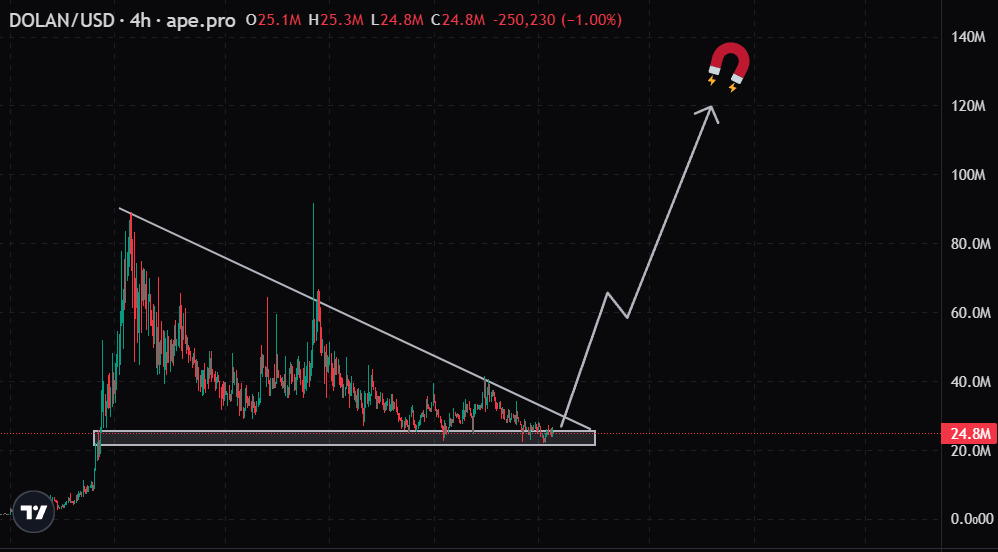 lil_ukki's tweet photo. $DOLAN chart is bottomed imo and ready for the next leg. The community has proved themselves forming while the price/market was down

Bullish divergence playing out https://t.co/nfRJA9vjds