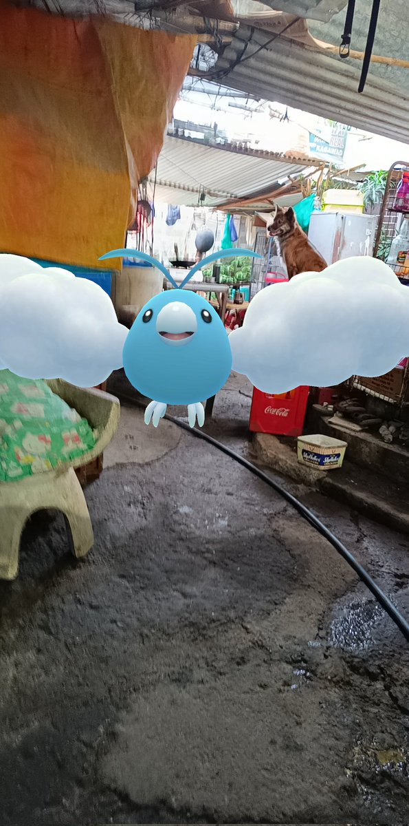 lsblithe's tweet photo. Join the fun of Pokémon GO! https://t.co/fnB0Sfu72T https://t.co/viJ1q8nR1s