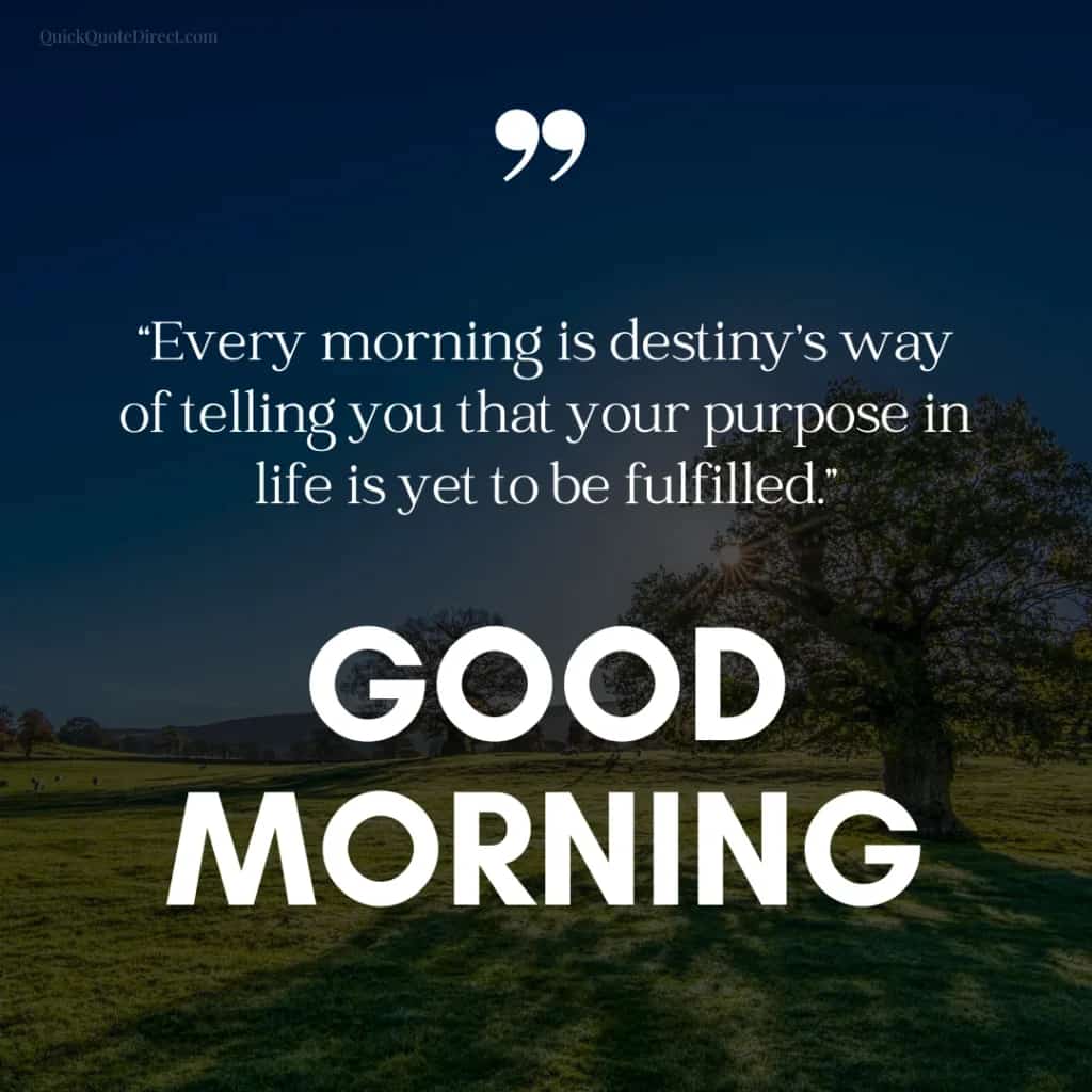 AkashCh86678413's tweet photo. Good Morning To All ❤️🥳 
#GoodMorning #MorningMotivation #GoodMorningEveryone #MorningVibes https://t.co/XsAaiAJyA6