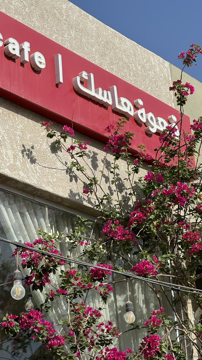 sultan | سلطان tweet media