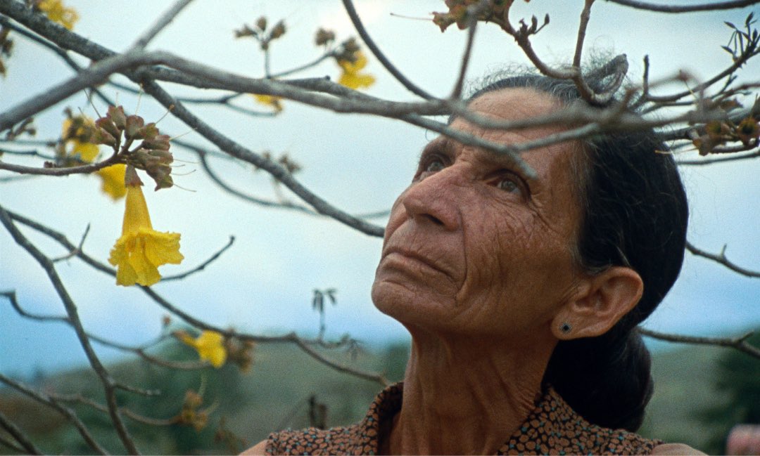 Karina Sainz Borgo tweet media