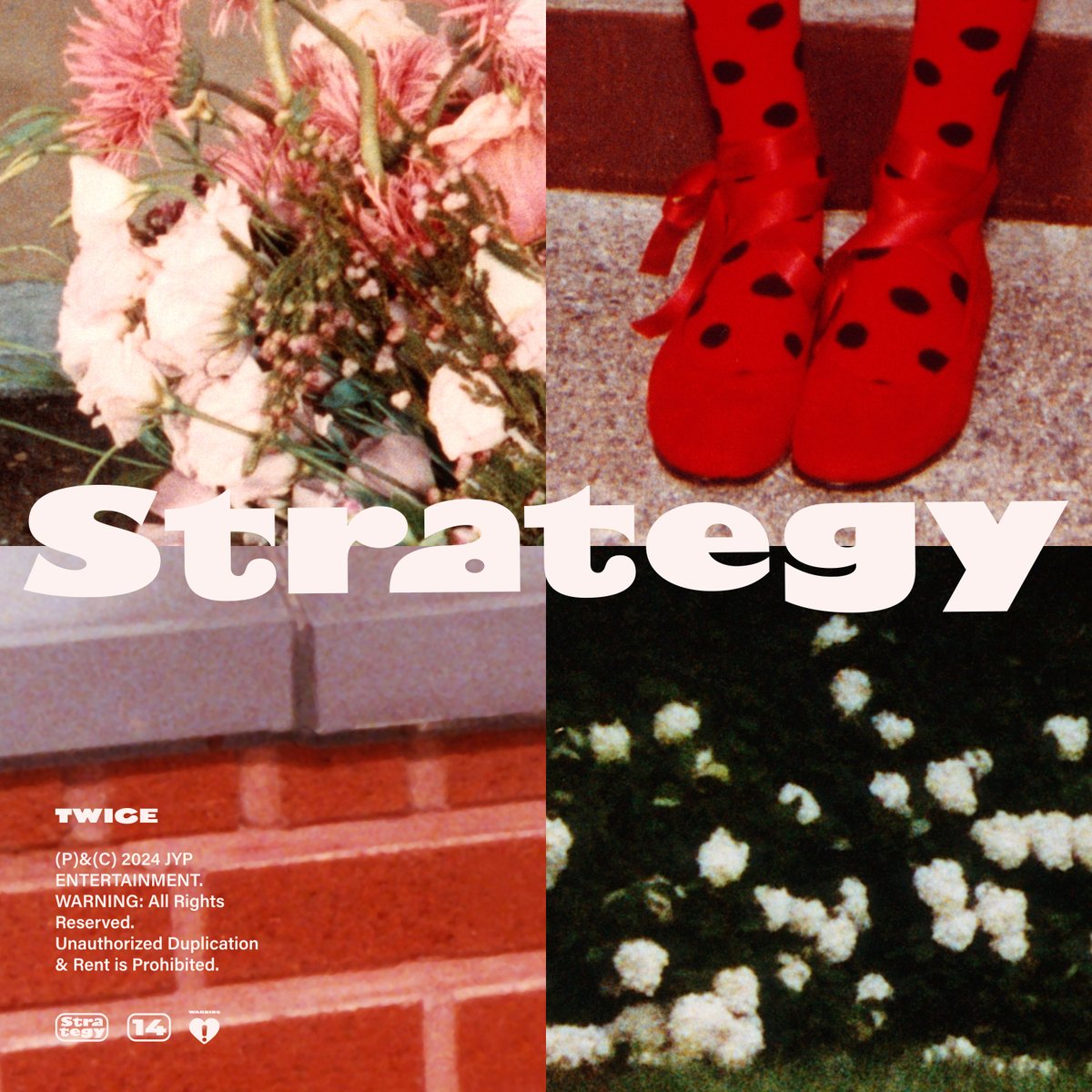 JYPETWICE_JAPAN's tweet photo. TWICE 14TH MINI ALBUM 『Strategy 2.0』の日本配信が順次スタート！

各配信サイトをぜひチェックしてみてください♪

https://t.co/9Nb9yvVkCS

#TWICE #STRATEGY https://t.co/xIiLEtdXR5