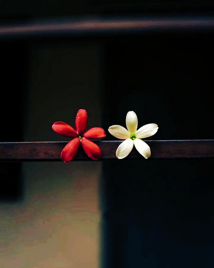 Kataksh__'s tweet photo. टूटना, बिखरना और बिखर कर खुद ही खुद को समेटना बस यही जीवन है...
#LifeQuotes #LifeLesson #JourneyOfLife #MessageOfLife #ChandanSinghBisht #WednesdayVibes https://t.co/mxZstpBGib