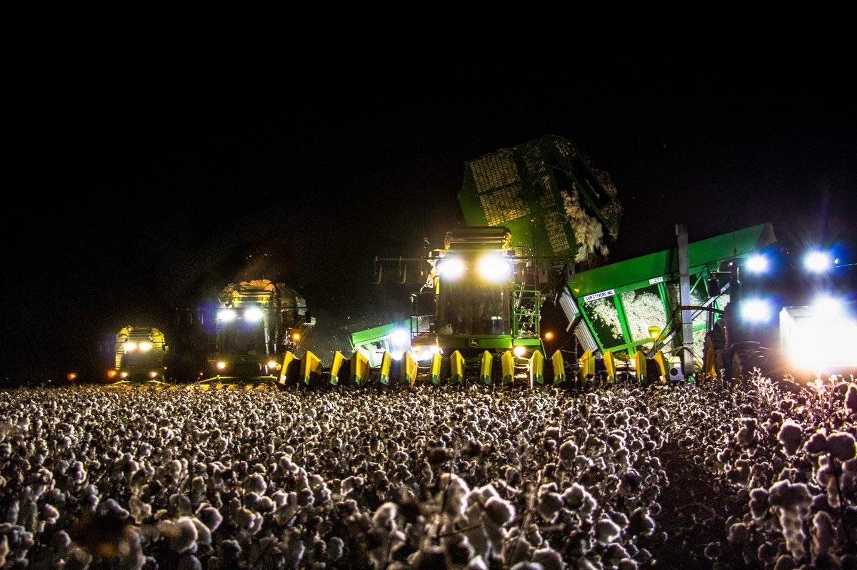RealBFooseX's tweet photo. @FadeHubb Cotton picking at night looking like concert. https://t.co/K7ShbFG1mo