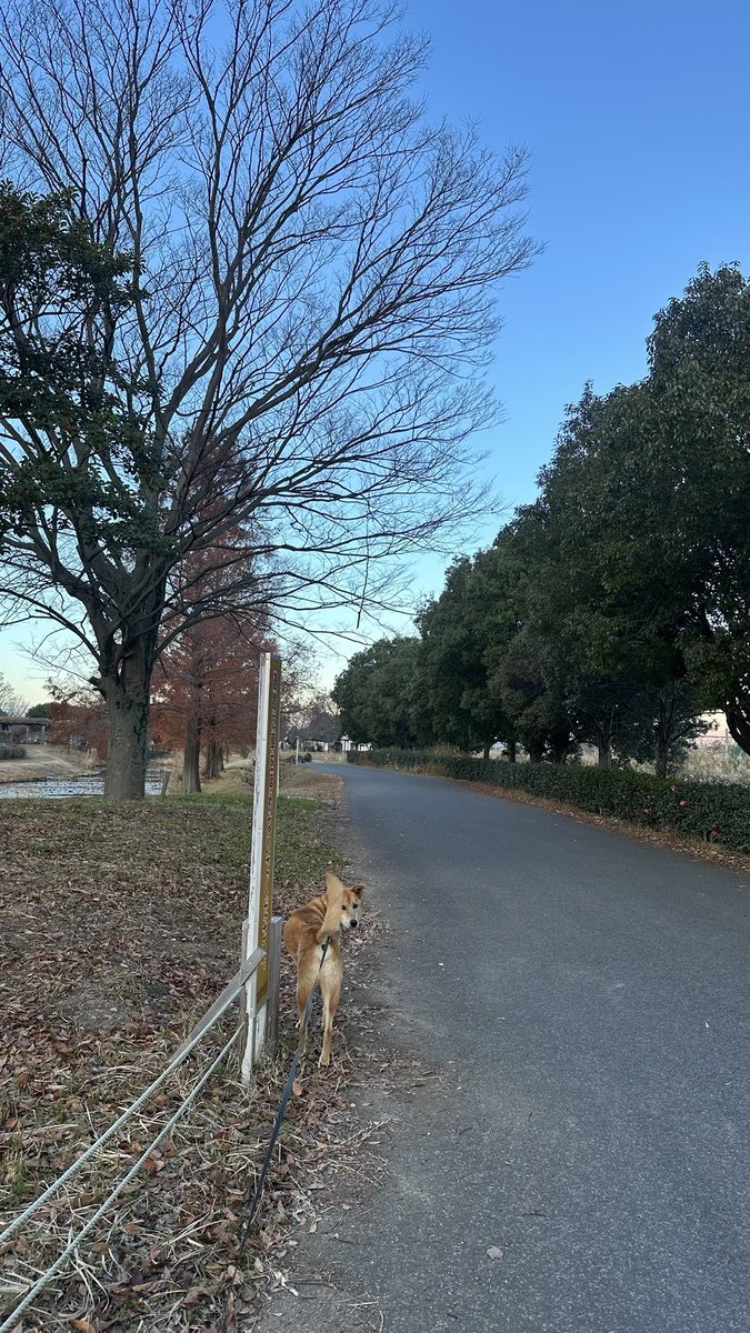 ちゃんと着いていってるから大丈夫だよ