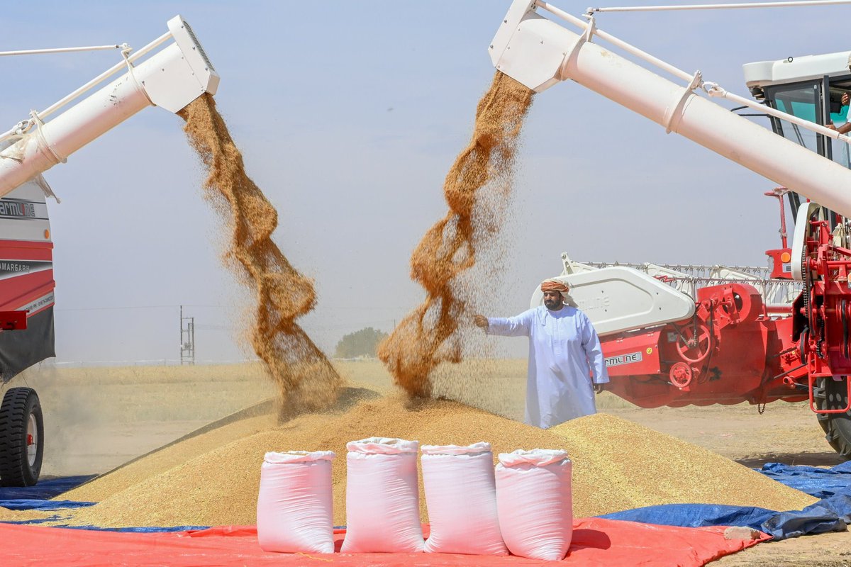 إنتاج القمح في منطقة النجد الزراعية بمحافظة ظفار ارتفع بنسبة نمو تتجاوز 600 %.

خطوة كبيرة نحو تحقيق الاكتفاء الغذائي.

#ظفار_الإعلامية