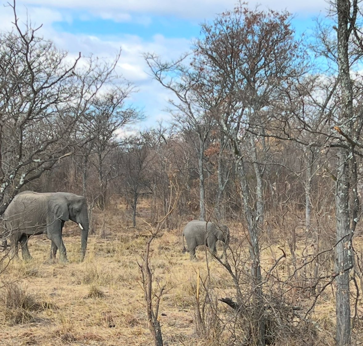 EMS Foundation tweet media