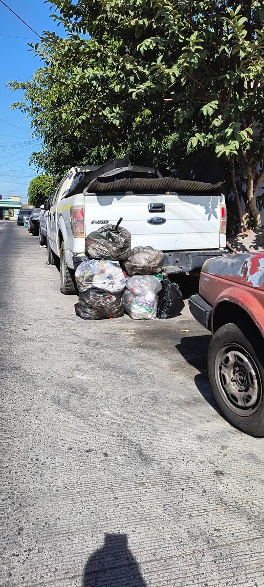 jesuslzn's tweet photo. @GuadalajaraGob en la colonia lomas de Polanco van casi 15 días que no pasa la basura y así lucen todas las calles @PabloLemusN @GobiernoJalisco https://t.co/1frPRE6BYV