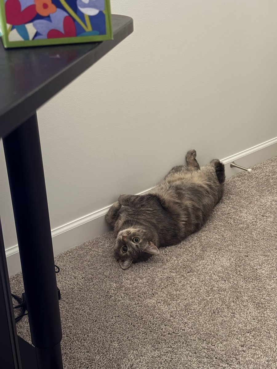 ßrådßûry (@brradf) on Twitter photo 