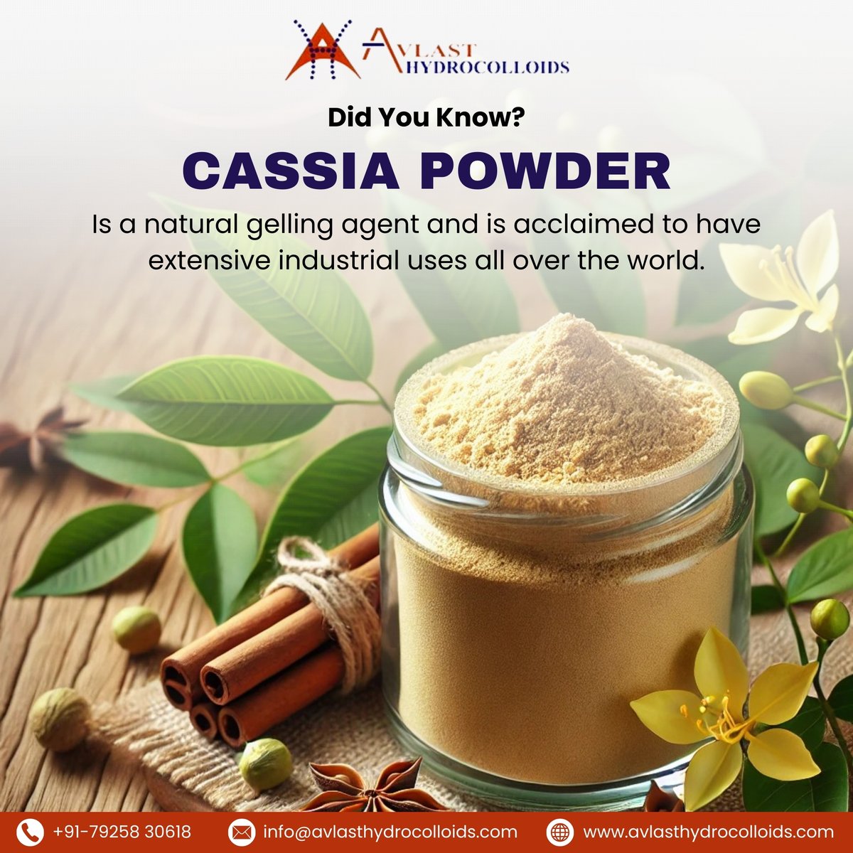 Hydrocolloids's tweet image. Did you know? Cassia Powder, a natural gelling agent, is valued worldwide for its versatility in industries like food processing and pharmaceuticals!

visit- avlasthydrocolloids.com/product/cassia…

#AvlastHydrocolloids #CassiaPowder #NaturalGellingAgent #foodprocessingindustry