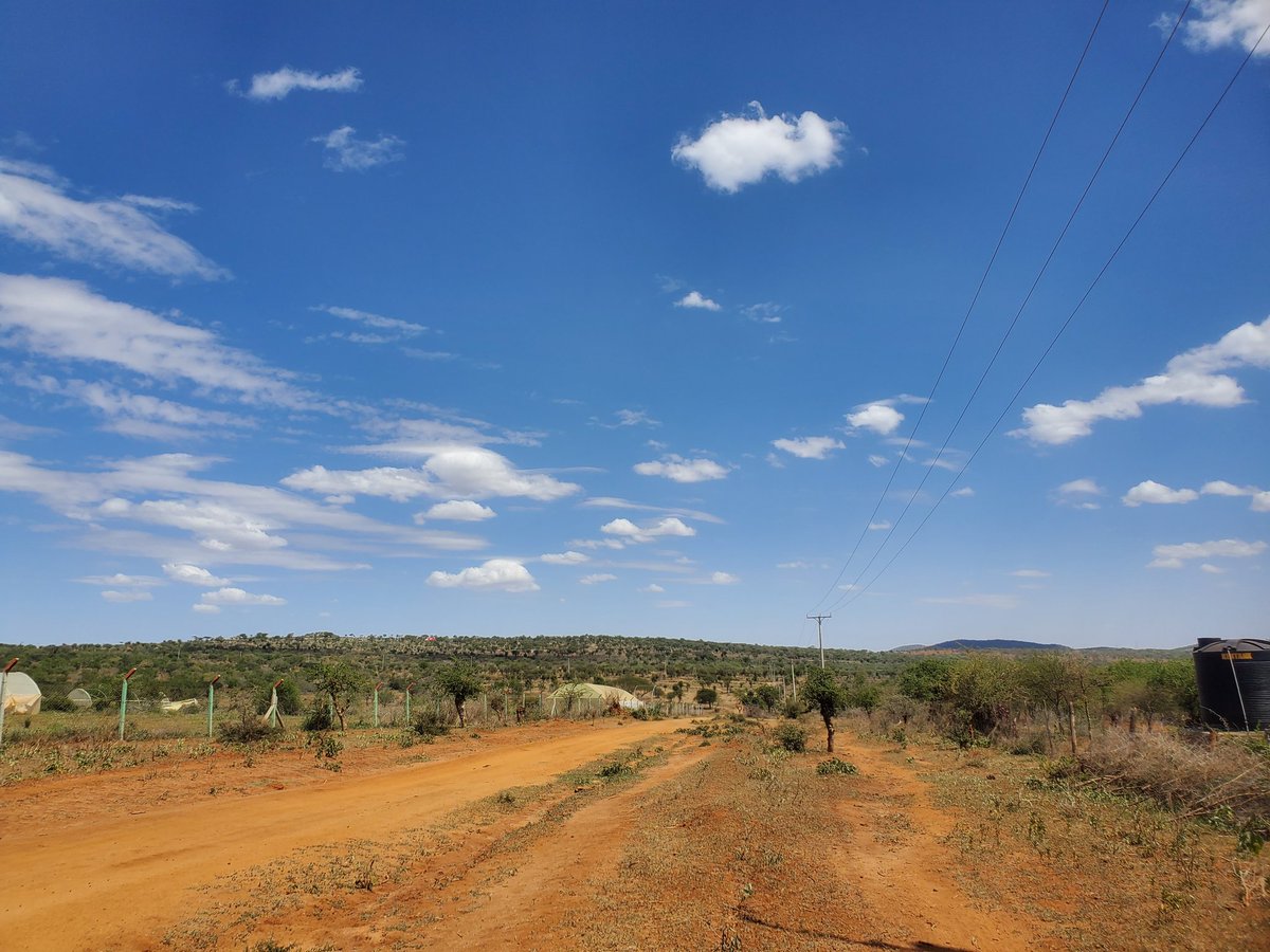 kim_kikwai's tweet photo. @osoroKE Selling Prime 1/4 Acre Blocks in Kajiado. Only 2KM from #NamangaHighway & under 2HRs from the CBD.
Perfect for
>Settlement
>Industrial
>Agriculture
>Ready title deeds
It's proximity to #NairobiCity means high returns on investment.
Call, SMS for site visit
0713 805 805. https://t.co/TNH8tAFmlz
