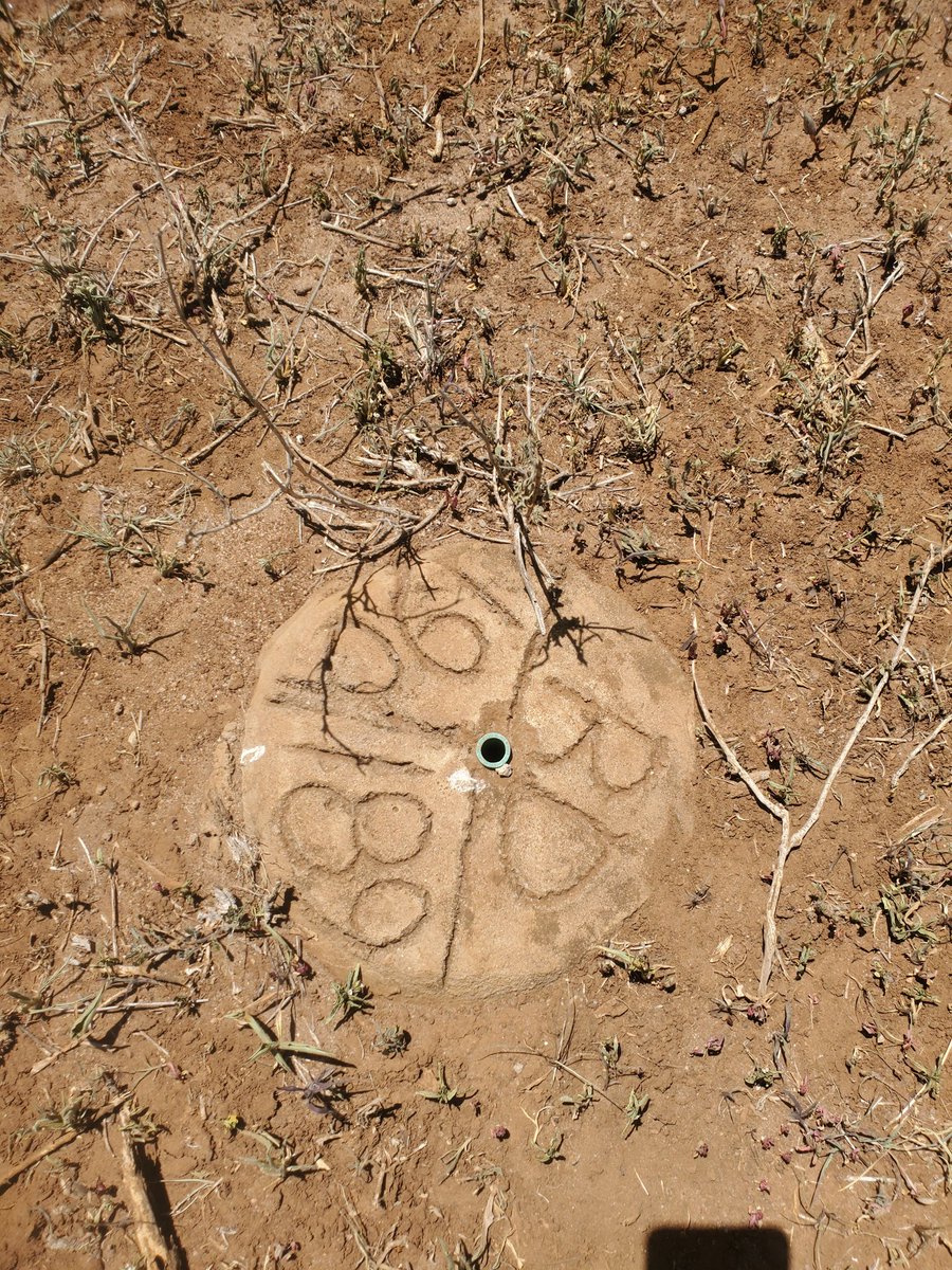 kim_kikwai's tweet photo. @osoroKE Selling Prime 1/4 Acre Blocks in Kajiado. Only 2KM from #NamangaHighway & under 2HRs from the CBD.
Perfect for
>Settlement
>Industrial
>Agriculture
>Ready title deeds
It's proximity to #NairobiCity means high returns on investment.
Call, SMS for site visit
0713 805 805. https://t.co/TNH8tAFmlz