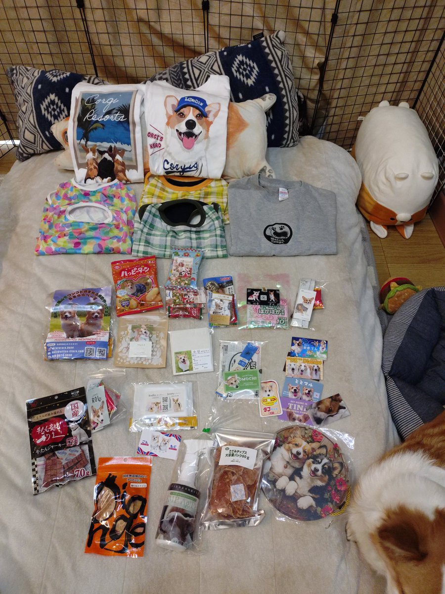 cogieve_yuzu's tweet image. 今朝夜中の３時過ぎて無事自宅到着😌
お会いした方々ホントにありがとうございました〜(⁠｡⁠･⁠ω⁠･⁠｡⁠)⁠ﾉ⁠感謝♡
そして戦利品の数々…（笑）でも他の方々の戦利品見てると少な〜🤣
積める荷物が限られてるのもあり…
またいつか参加したいな🐾
#AJC