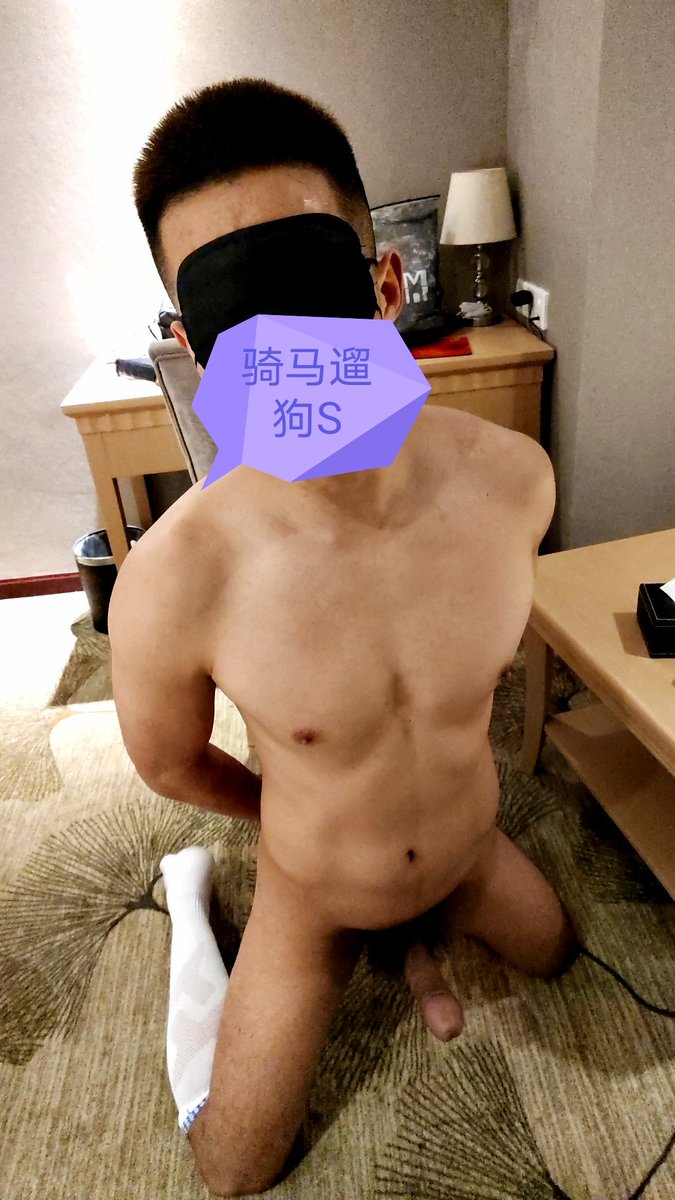 骑马遛狗S tweet media