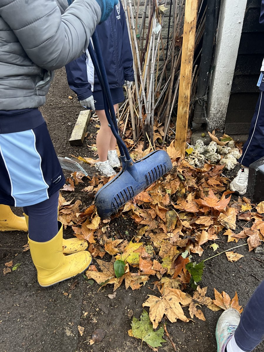 thrivecharity's tweet photo. Last month, Thrive London hosted a school visit through an organisation called Time Givers which supports schools to engage with local charities. 

Centre Manager, Kate gave a talk about Thrive and the work we do before getting the students engaged in some gardening activities! https://t.co/uJlWSt6brV