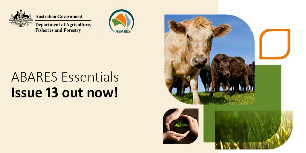 We've wrapped up the year in the latest edition of ABARES Essentials. 🎁🗓️

👉 Don't miss out! Read the 13th instalment here: brnw.ch/21wPu1B