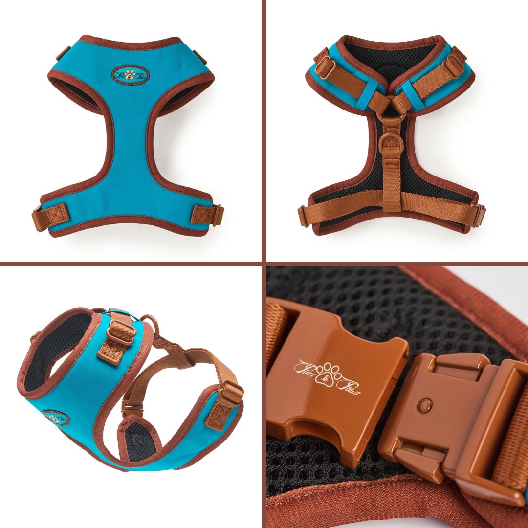 PurandPaws's tweet image. ✨ Introducing the Azure Le Bronze Adjustable Luxury Harness from Purr &amp;amp; Paws! ✨
bit.ly/3P1j8MZ
#PurrAndPaws #LuxuryPetHarness #AdjustableHarness #PetFashion #DogAccessories #PetStyle #BronzeHarness #PetComfort #FurryFriends #PetLovers #DogLife #LuxuryForPets