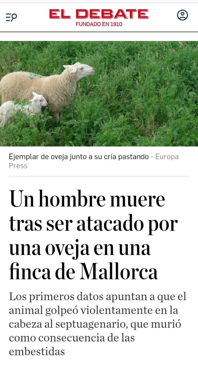 Las ovejas ya han matado más personas que los lobos en Europa en lo que va de siglo.