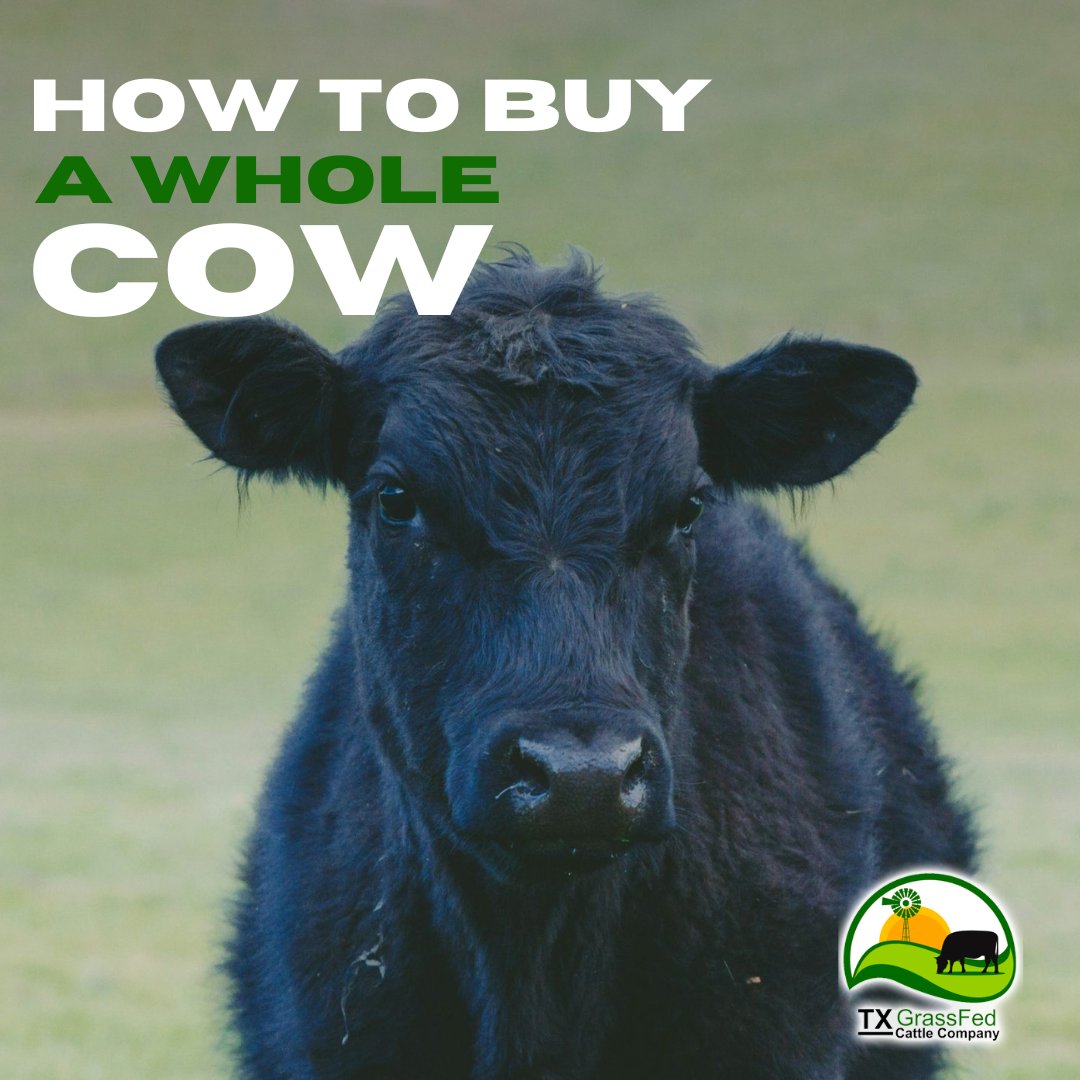 TX BAR Grassfed Cattle Company tweet media