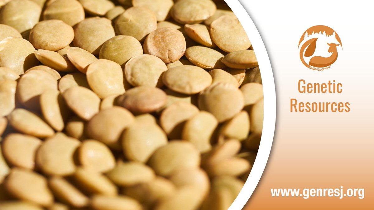 📣 New article by Vus et al ǀ A case study on #lentil to demonstrate the value of using historic data stored in #genebanks to guide the selection of resources for research and development projects.
👇
doi.org/10.46265/genre…

#GenResJ #PlantGeneticResources
