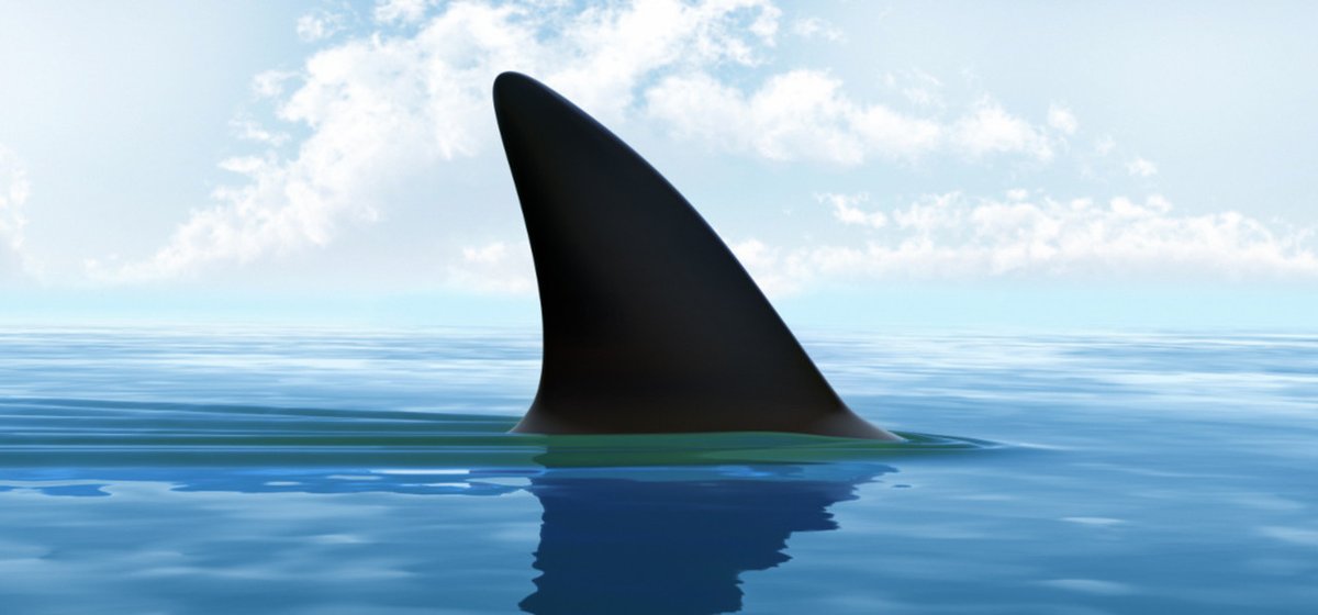 🌊 Something Mysterious Lurks Beneath the Surface... 🦈

The water is stirring, and whispers of something new have begun to spread. 🌀  

Dare you venture closer? Or will you heed the warnings?  

Your life might just be... at stake. 👀  

Stay tuned, brave ones.

All will be