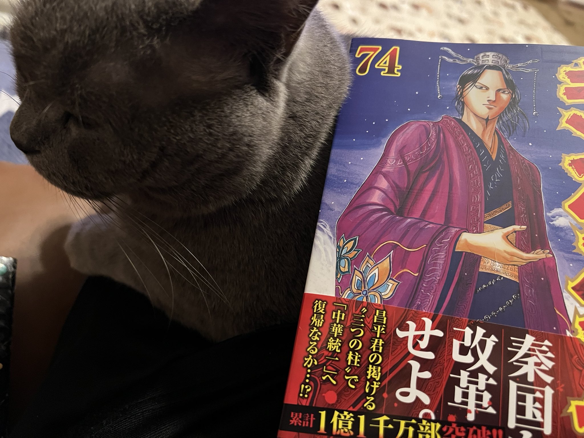 キングダム　74巻だけありません キングダム 74／原泰久 | 集英社コミック公式 S-MANGA