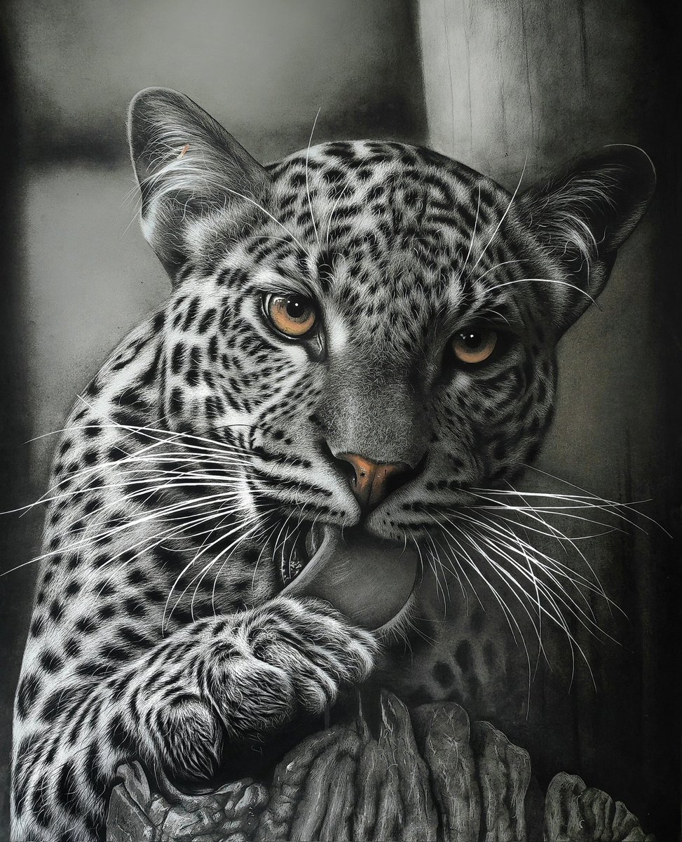 A pencil + several tens of hours😊