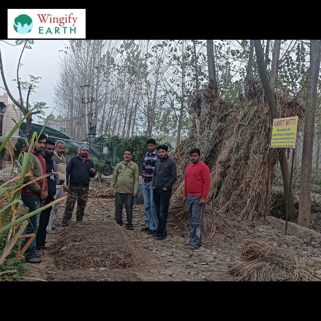 WingifyFoundtn's tweet photo. 🌱 In Noorpur Bedi, a Lead Farmer demonstrates Amrit Mitti as part of our Soil Health Project. With 10+ demo farms in Punjab &amp; Haryana, we're driving sustainable solutions to protect soil health &amp; the biome. 🌾🌍

#SoilHealth #sustainablefarming https://t.co/WLM8n5uf5g