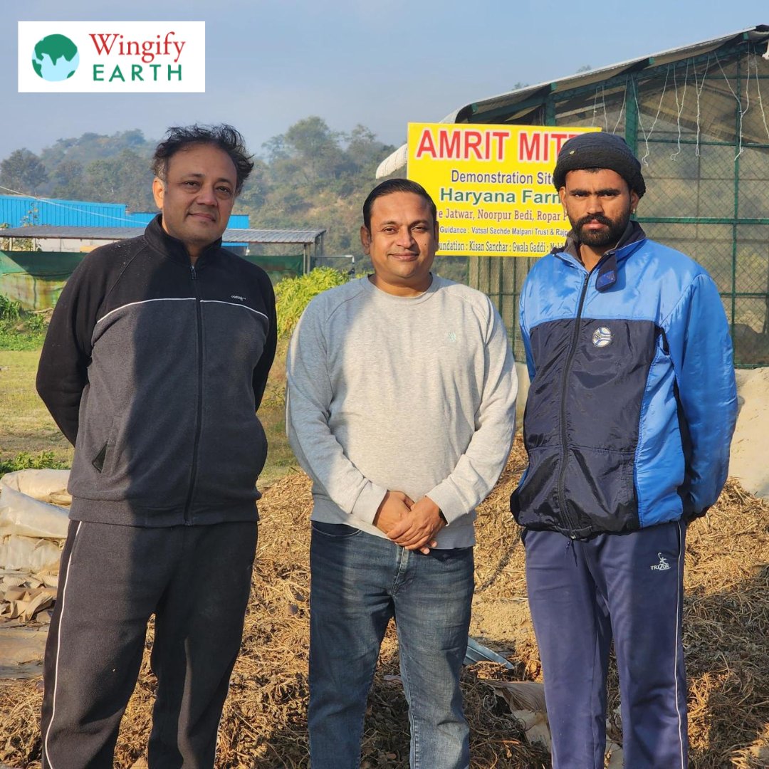 WingifyFoundtn's tweet photo. 🌱 In Noorpur Bedi, a Lead Farmer demonstrates Amrit Mitti as part of our Soil Health Project. With 10+ demo farms in Punjab &amp; Haryana, we're driving sustainable solutions to protect soil health &amp; the biome. 🌾🌍

#SoilHealth #sustainablefarming https://t.co/WLM8n5uf5g