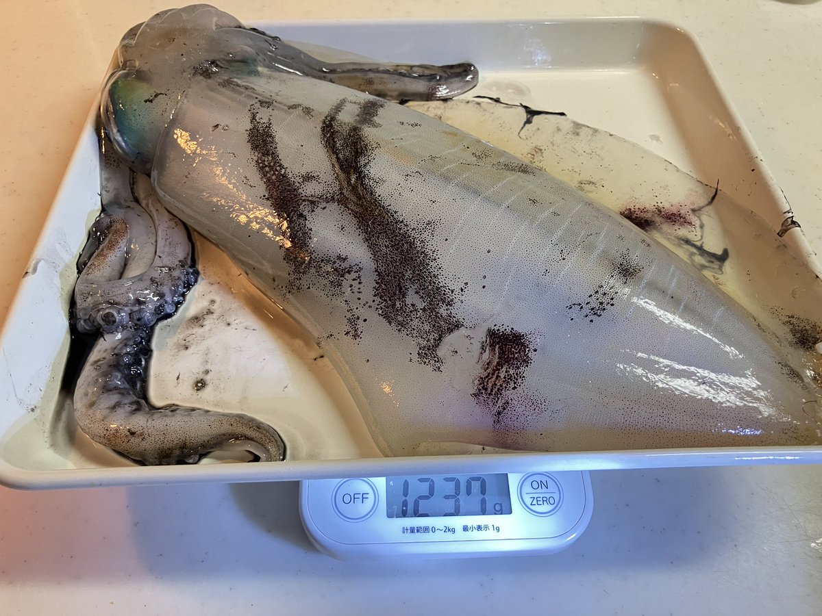 浦島太郎 tweet media