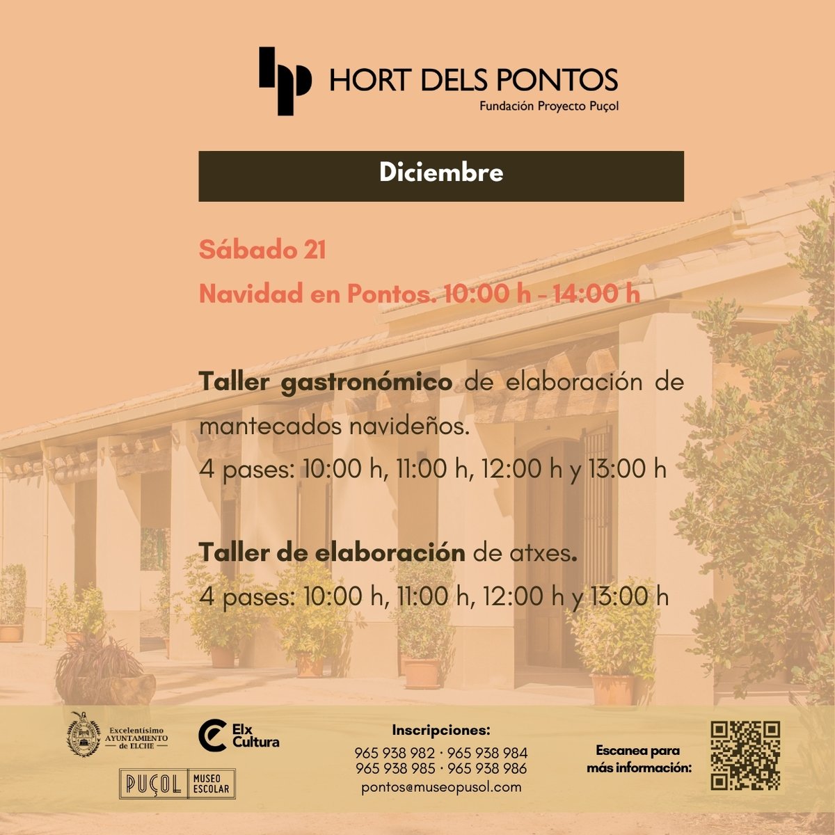 Museo Escolar de Puçol tweet media