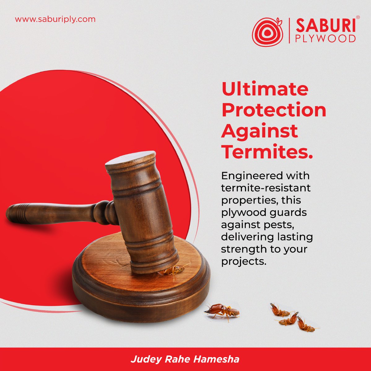 saburiply's tweet image. Defend Your Projects with Saburi Plywood! 📷📷
To know more, reach us at: 1800 313 666000 or visit: saburiply.com
#SaburiPlywood #TermiteProtection #BuildStrong #PlywoodPerfection #HomeImprovement #Durability #SmartBuilding #PestResistant #JudeyRaheHamesha