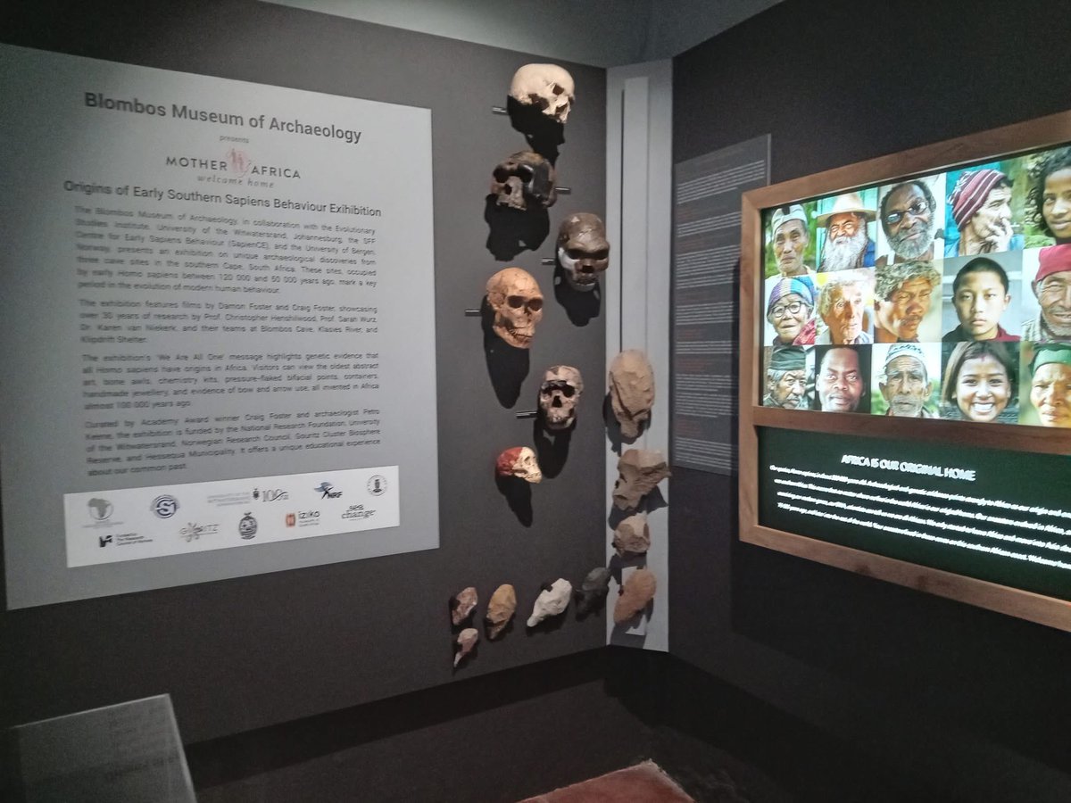 SapienCE_UiB's tweet photo. A new #SapienCE-related exhibition opened on Dec 16 at #Blombos Archaeological Museum in Still Bay 🇿🇦! 🫶👏🇳🇴
@UiB_AHKR @WitsUniversity https://t.co/tnIGHxeTWf