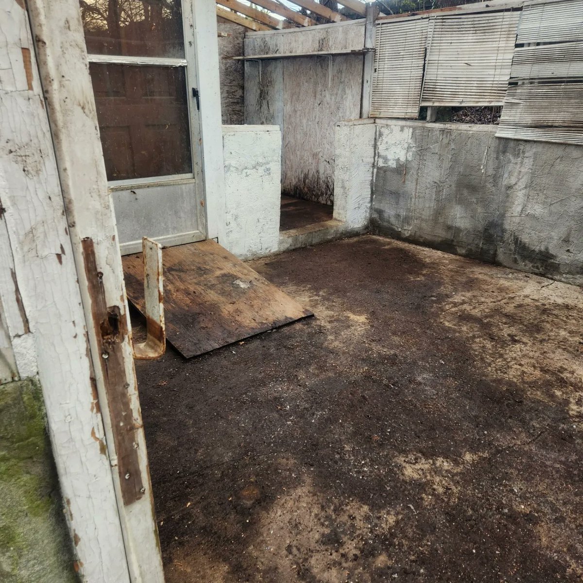 Junkdogstrash's tweet photo. 🏚️✨ From Chaos to Clean in Record Time! ✨🏚️

Check out this amazing transformation! We didn’t just remove the roof – we removed the stress. 💪

🔨 Before: Cluttered chaos
🧹 After: A clean slate

Thanks 336-615-5813 Junkdogstrashremoval@gmail.com https://t.co/HTxOqIvGix https://t.co/YuLTzaLOGW
